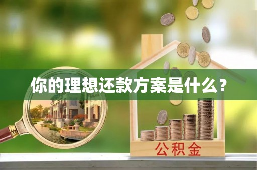 闽侯你的理想还款方案是什么？