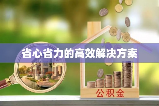 闽侯省心省力的高效解决方案