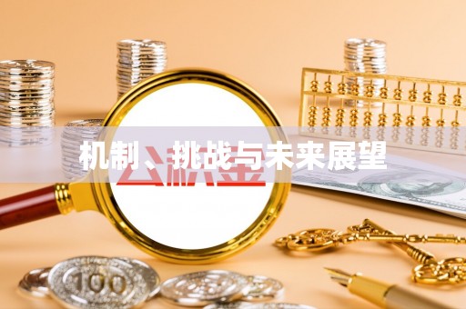 闽侯机制、挑战与未来展望