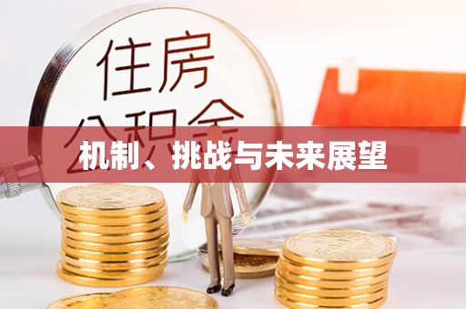 闽侯机制、挑战与未来展望